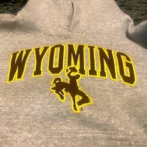 Small child’s Wyoming hoodie